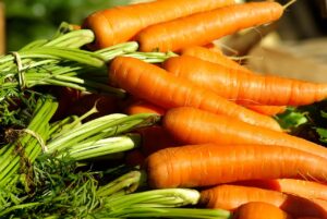 vegetables, carrots, vegetable garden, market, carrots, carrots, carrots, carrots, carrots, vegetable garden
