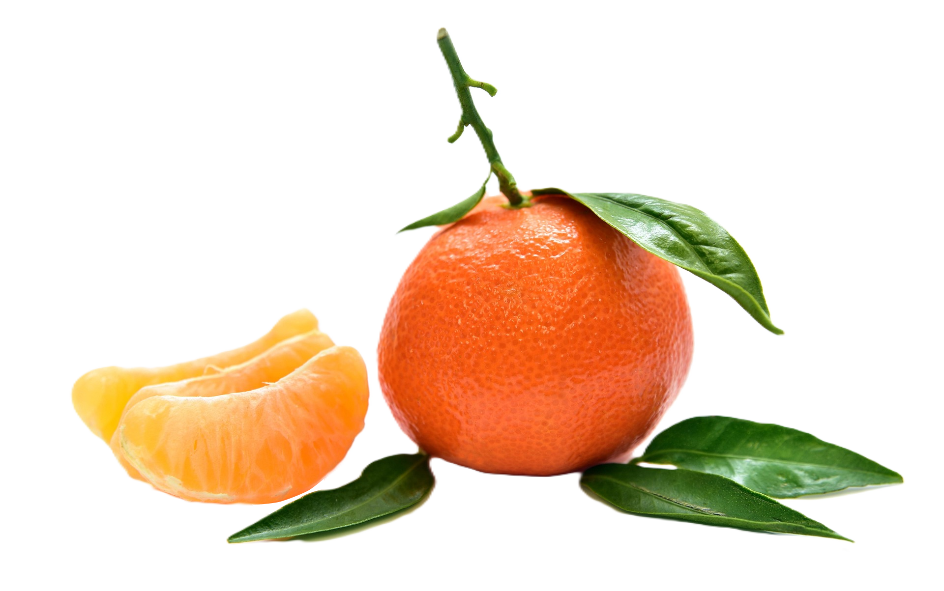 mandarina mandarina