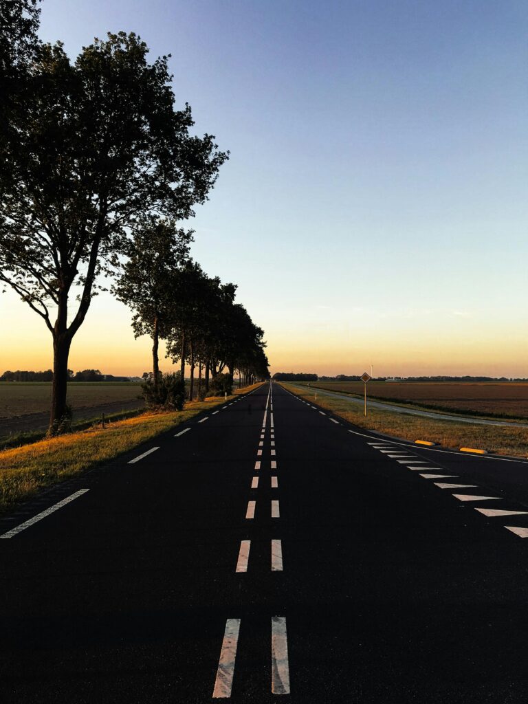 Long straight road with trees in Swifterbant, Netherlands at sunset.