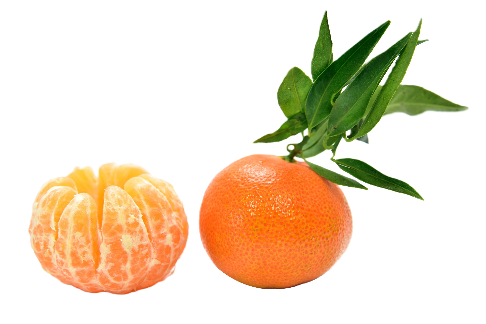 mandarina mandarina
